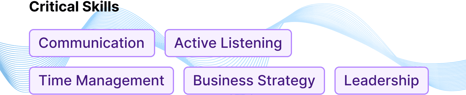 Extracted skills such as communication, active listening, and time management.